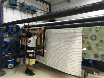 Rug Drying Process Boca Raton