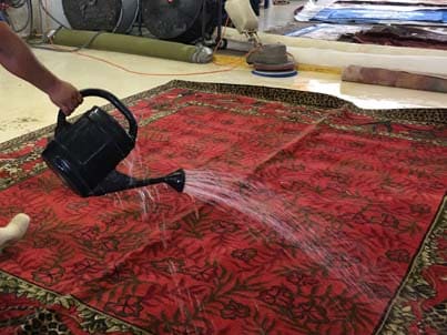 Oriental Rug Cleaning Martin County