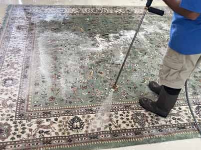 Area Rug Cleaning Palm City