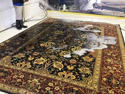 Indian Rug Cleaning Expert