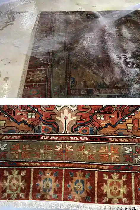 Oriental Rug Cleaning