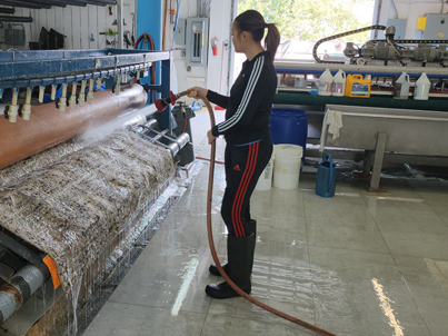 Rug Washing Progress