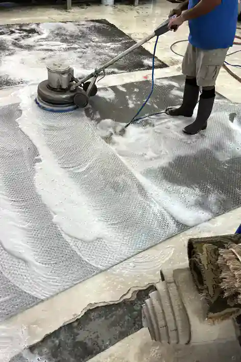 Rug Restoration