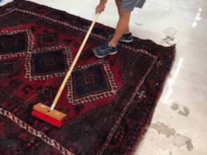 Best Oriental Rug Cleaning