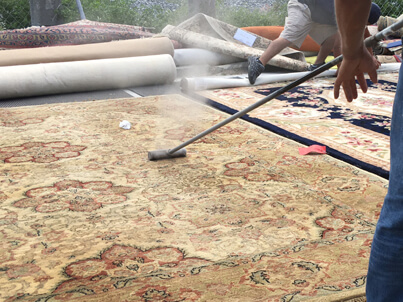 Rug Dusting