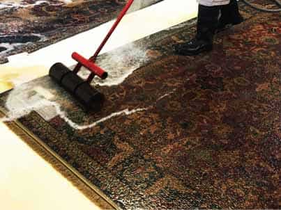 Pet Odor & Stain Removal Aventura