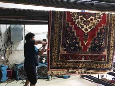 Rug Dusting Broward