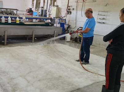 Rug Washing Process Broward