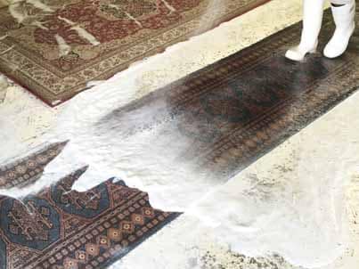 Oriental Rug Cleaning Coral Gables
