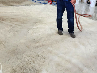 Rug Cleaning Coral Spring