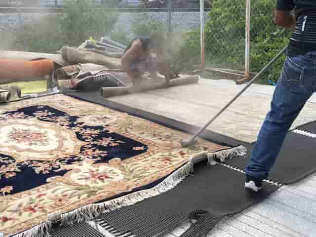 Oriental Rug Dusting Dania