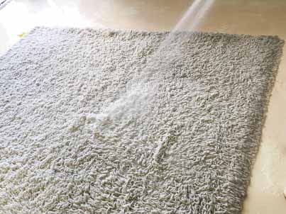 Rug Cleaning Hialeah