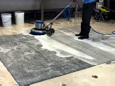 Area Rug Cleaning Services