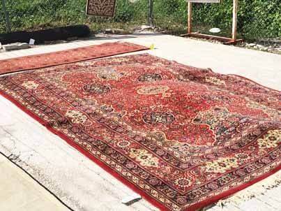 Rug Drying Process Key Biscayne