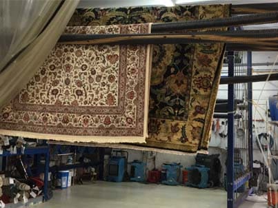 Rug Drying Process Miami-Dade