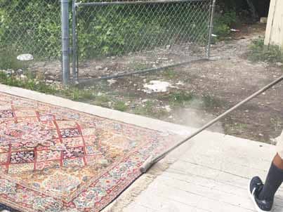 Rug Dusting Process North Palm Beach