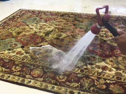 Persian Rug Cleaning Parkland