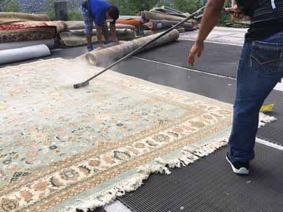 Rug Dusting Plantation