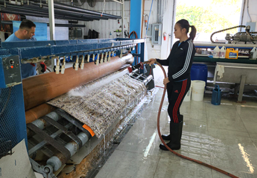 South Beach Oriental Rug Cleaning