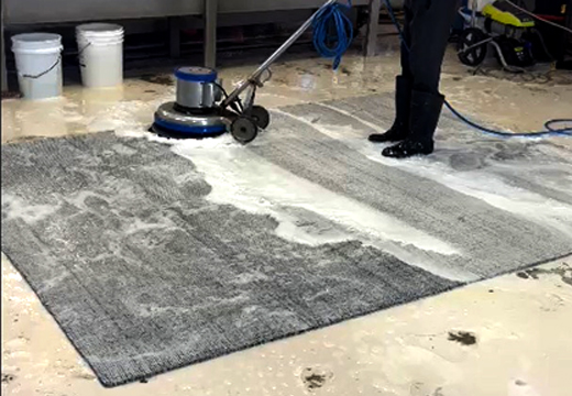 Rug Soft Water Rinse Process South Beach
