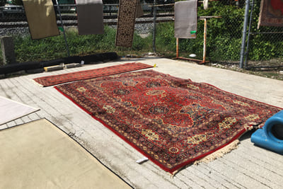 Rug Drying Sunrise