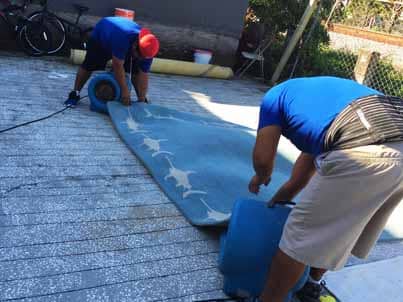 Rug Drying Process Wellington