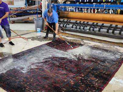 Oriental Rug Cleaning Wellington