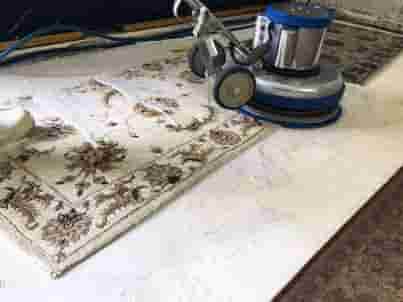 Custom Rug Cleaning Fort Lauderdale