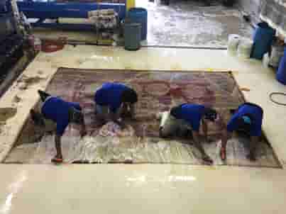 Oriental Rug Cleaning Fort Lauderdale