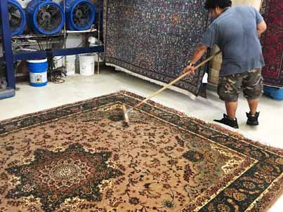 Persian Rug Dust Cleaning