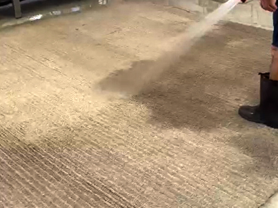 Best Sisal Rug Cleaning