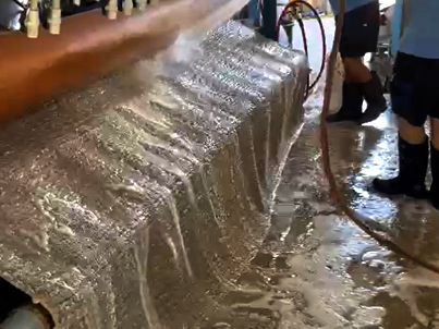 Sisal Rug Cleaning