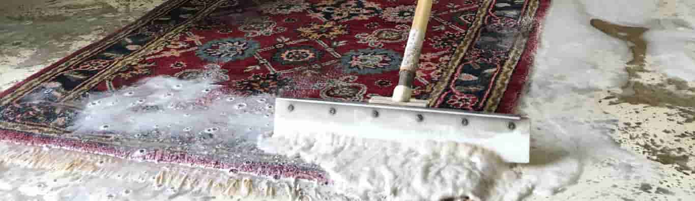 Sisal Rug Cleaning Service