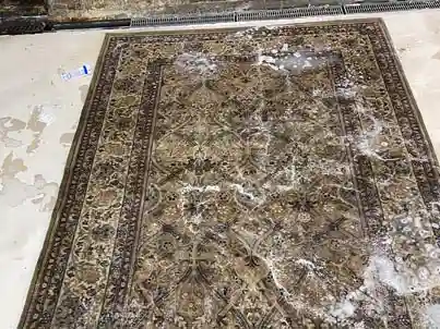 Chinese Art Deco Rug Cleaning