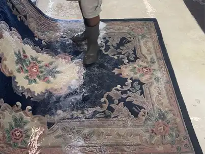 Aubusson Rug Services Expert