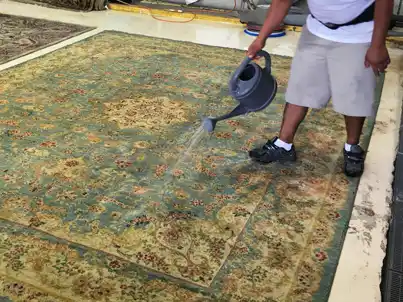 Pakistani Rug Cleaning Services Palm Beach