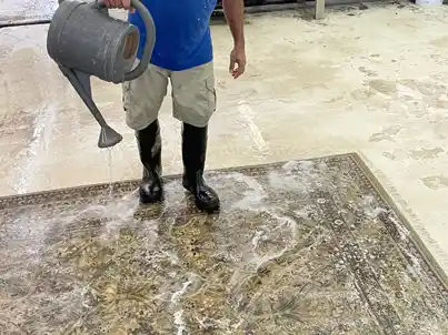 Pakistani Rug Cleaning Services, Florida