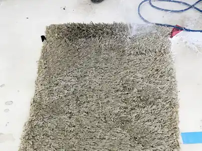 Shag Rug Cleaning Services Palm Beach