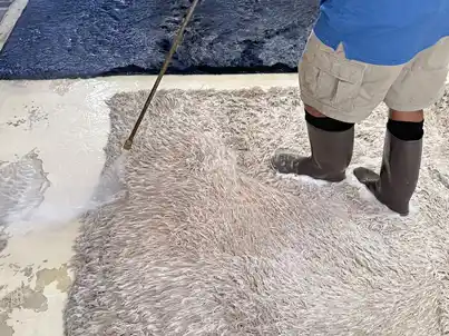 Shag Rug Cleaning