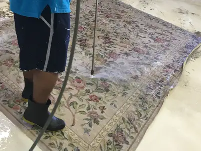 Tibetan Rug Cleaning Services Palm Beach