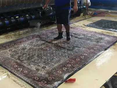 Turkish Rug Cleaning Services