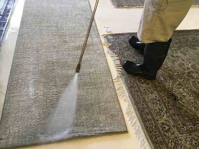 Homemade Carpet Cleaners