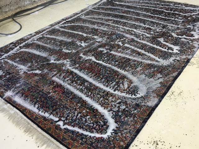 Rug Cleaning System