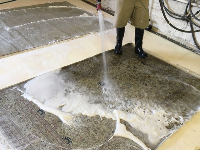 Rug Cleaner Jupiter