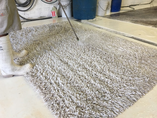 White Shag Rug Care