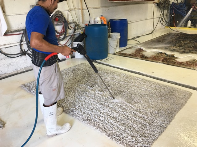 Area White Rug Care