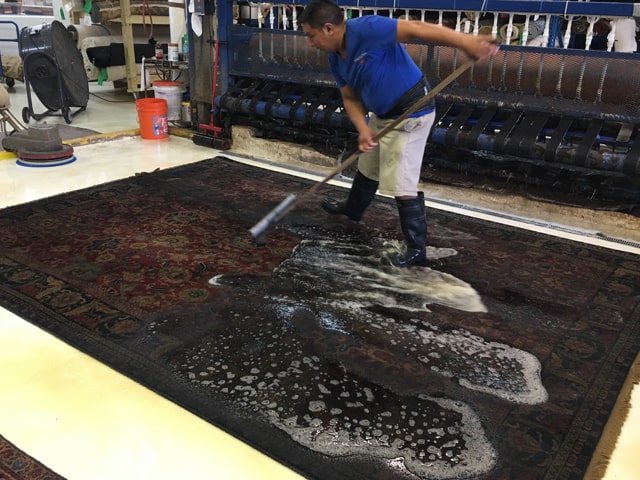 Rug Cleaning