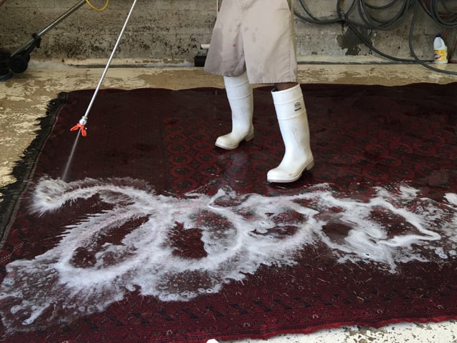 Best Karaja Rug Cleaning