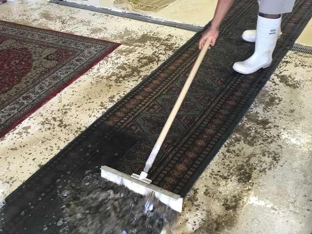 Rug Cleaning Services