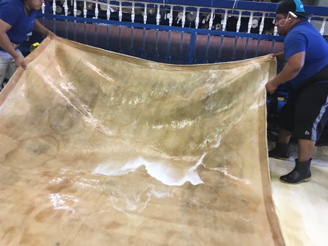 Rug Cleaning Palm Beach